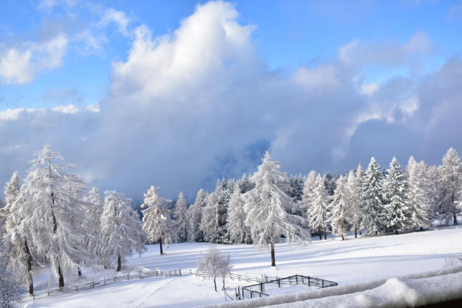 Gasthof Schmiederalm Aldino Exterior foto
